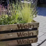 Eifelbleibe,