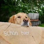 Eifelbleibe, * Manderscheid