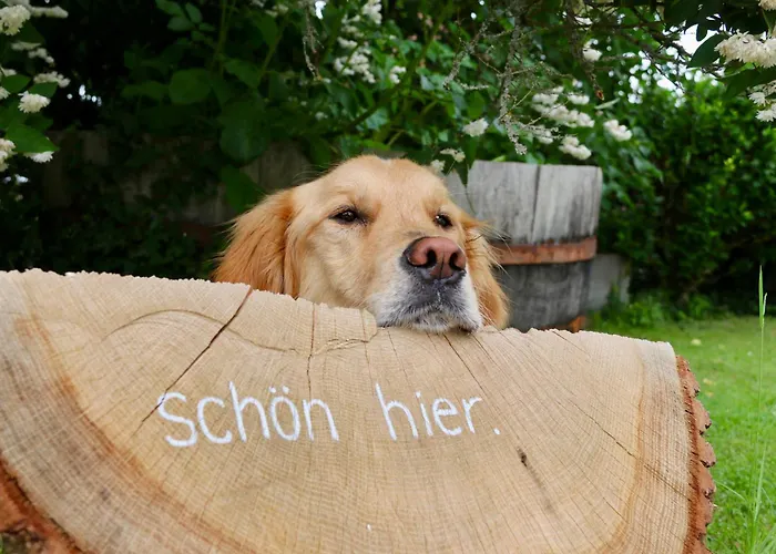 Eifelbleibe, * マンダーシャイト